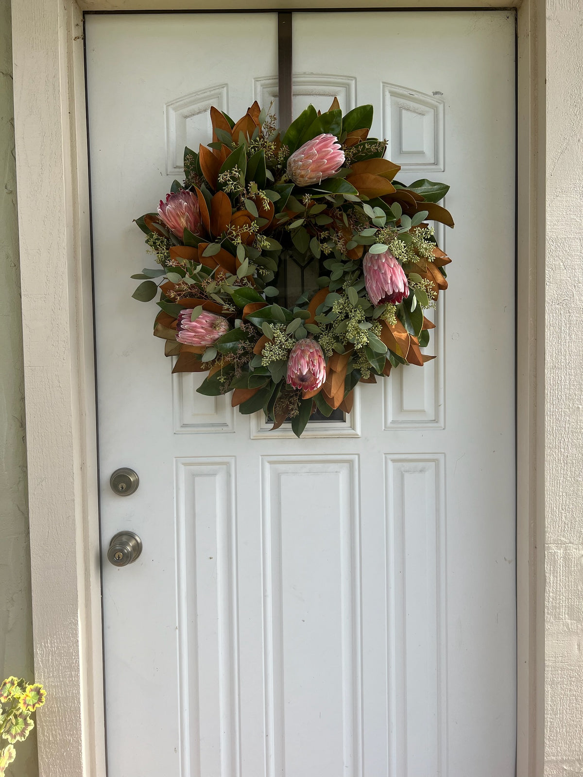 Fresh Magnolia, Seeded Eucalyptus, and Pink Ice Protea Wreath