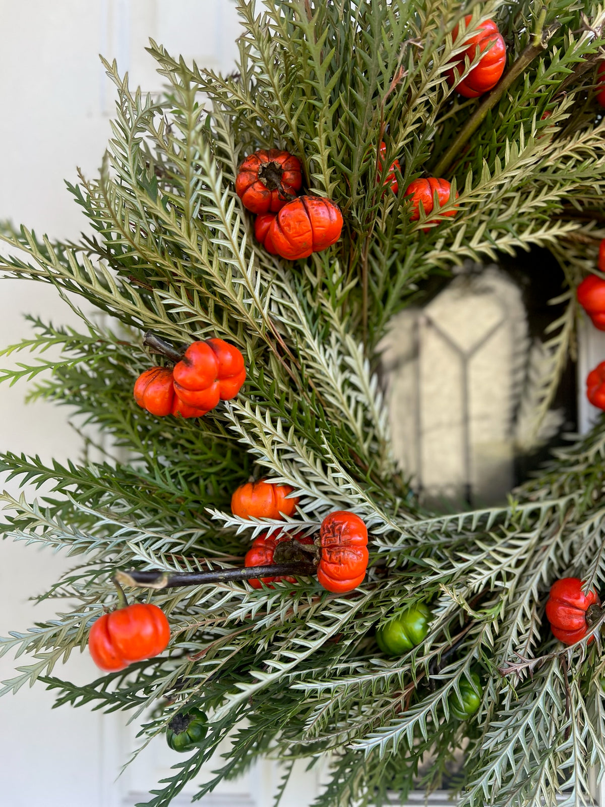 Fresh Grevillea and Pumpkin Tree Wreath