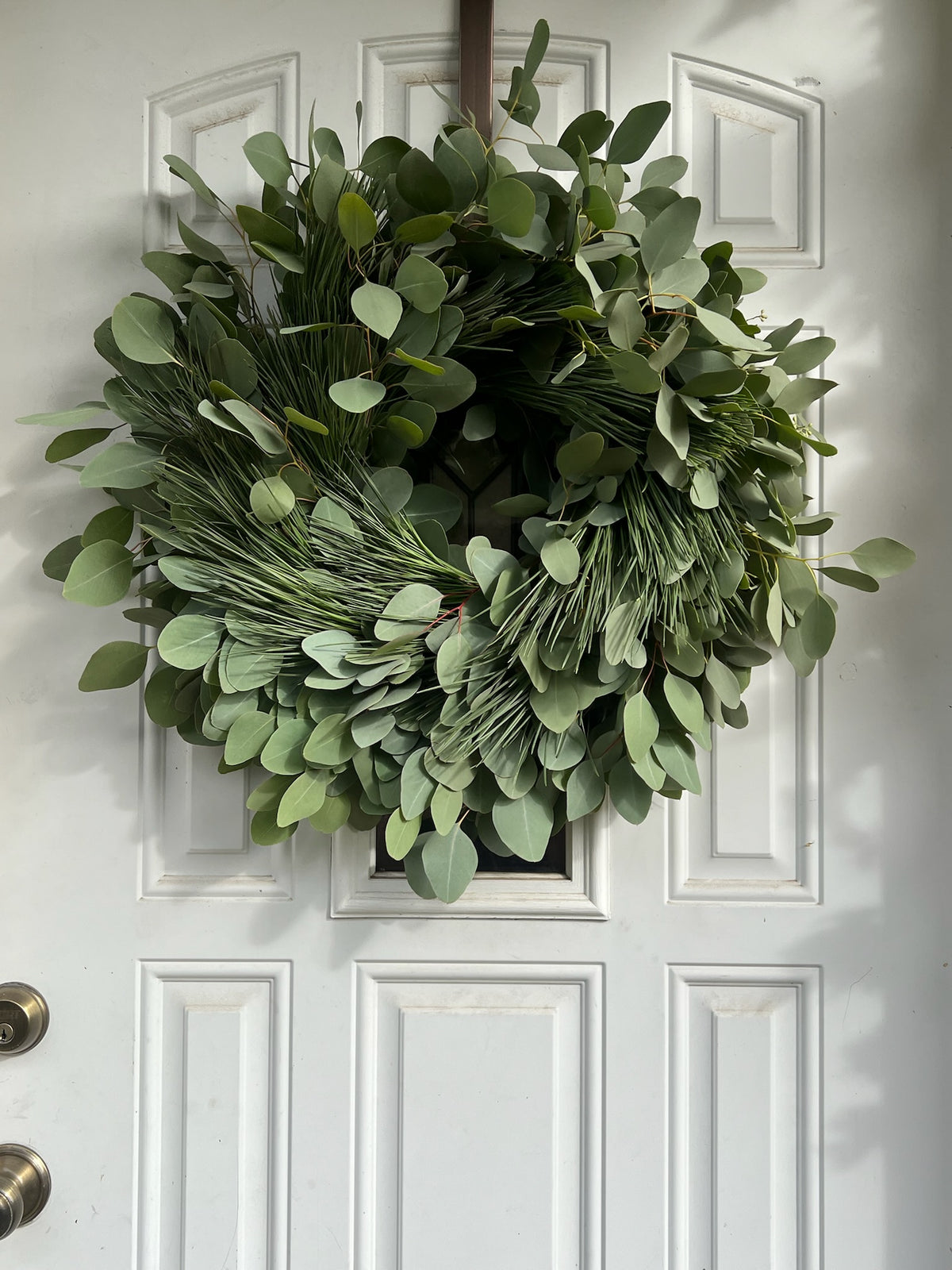Fresh Silver Dollar Eucalyptus and Pine Wreath