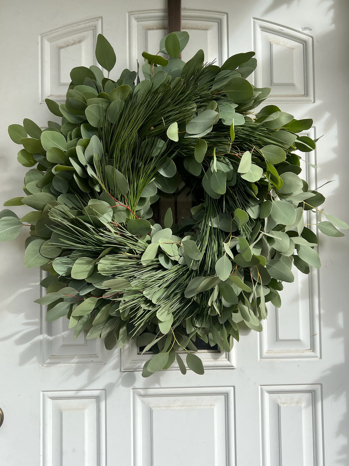 Fresh Silver Dollar Eucalyptus and Pine Wreath