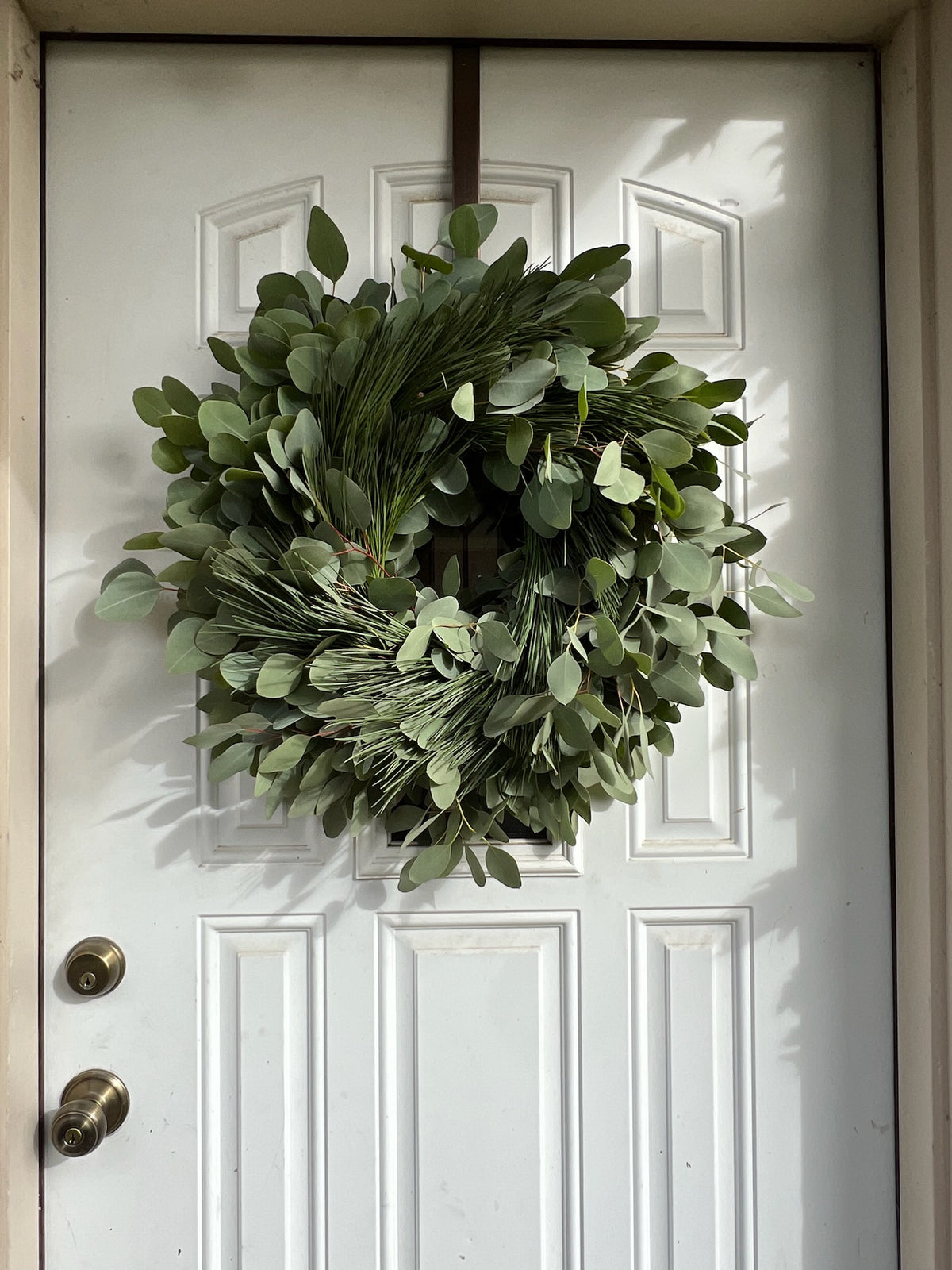 Fresh Silver Dollar Eucalyptus and Pine Wreath