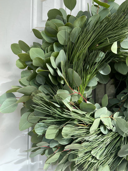 Fresh Silver Dollar Eucalyptus and Pine Wreath