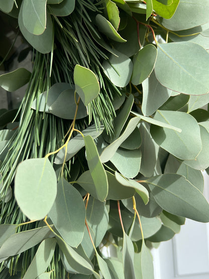 Fresh Silver Dollar Eucalyptus and Pine Wreath