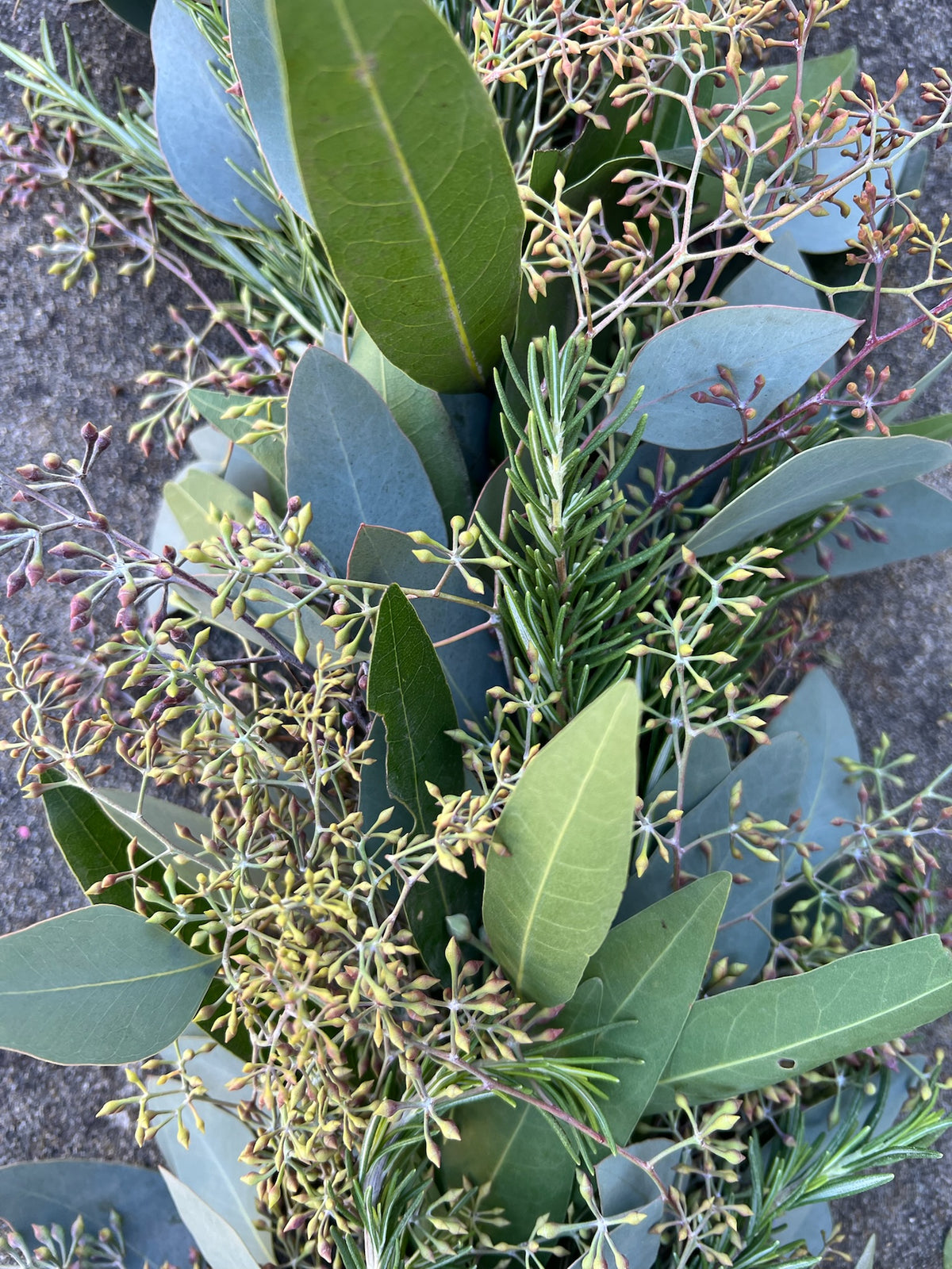 Fresh Rosemary, Bay Leaf, and Seeded Eucalyptus Garland