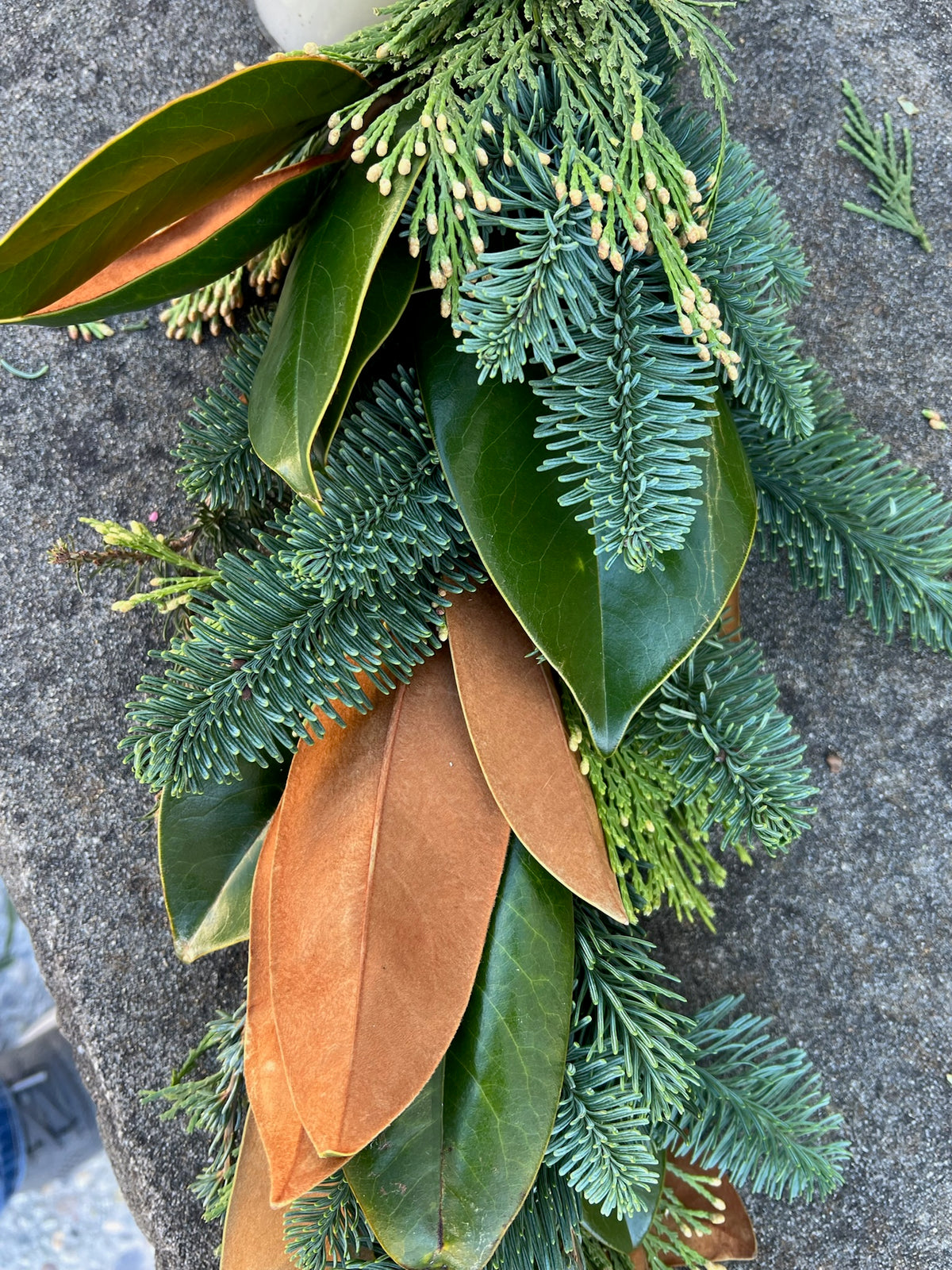 Fresh Magnolia, Cedar, and Fir Garland