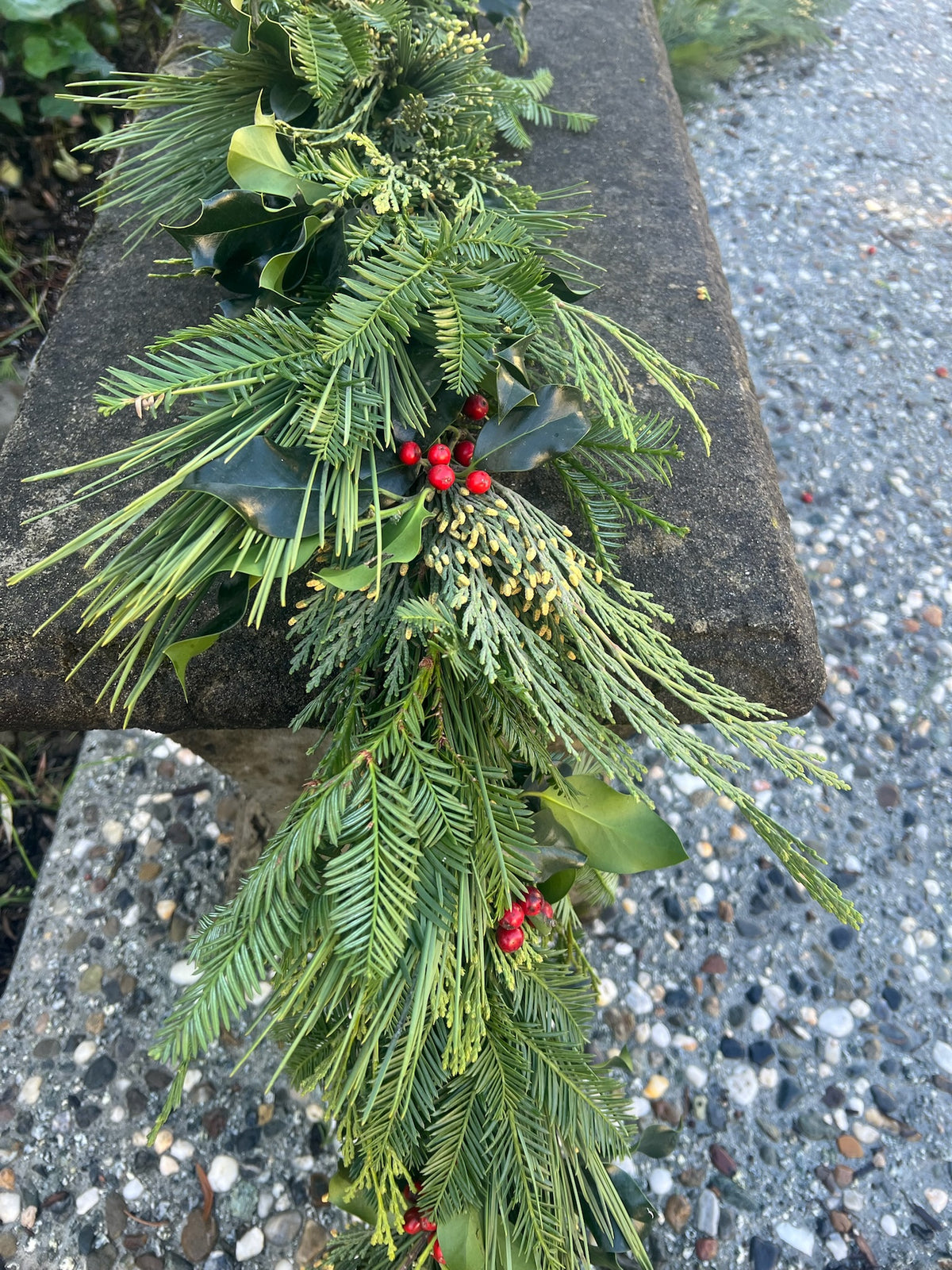 Fresh Cedar, Fir, Redwood, and Holly Winter Garland