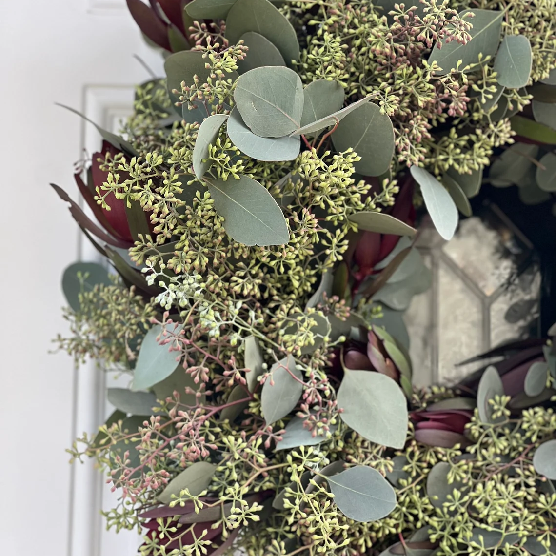 Seeded Eucalyptus and Safari Sunset Leucadendron Wreath
