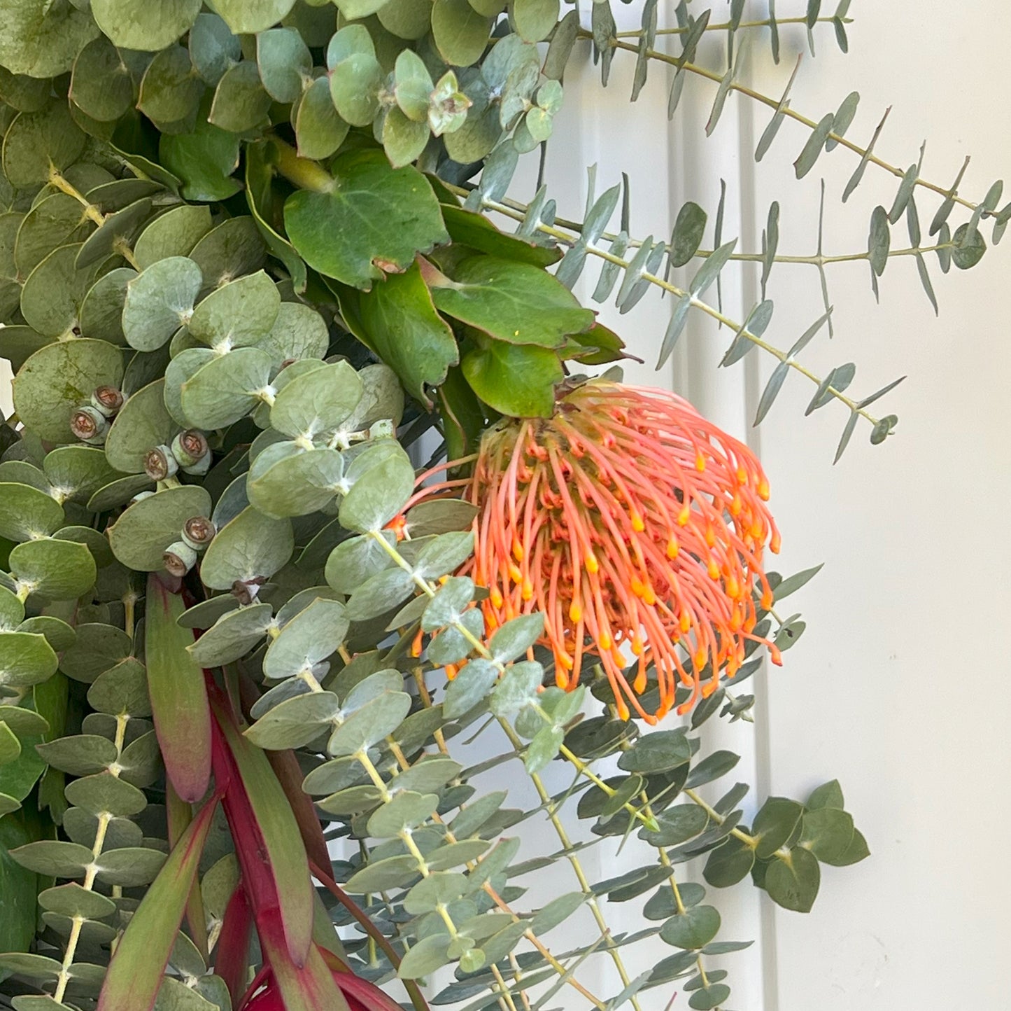 Safari Sunset Leucadendron, Spiral Baby Eucalyptus, and Pincushion Wreath