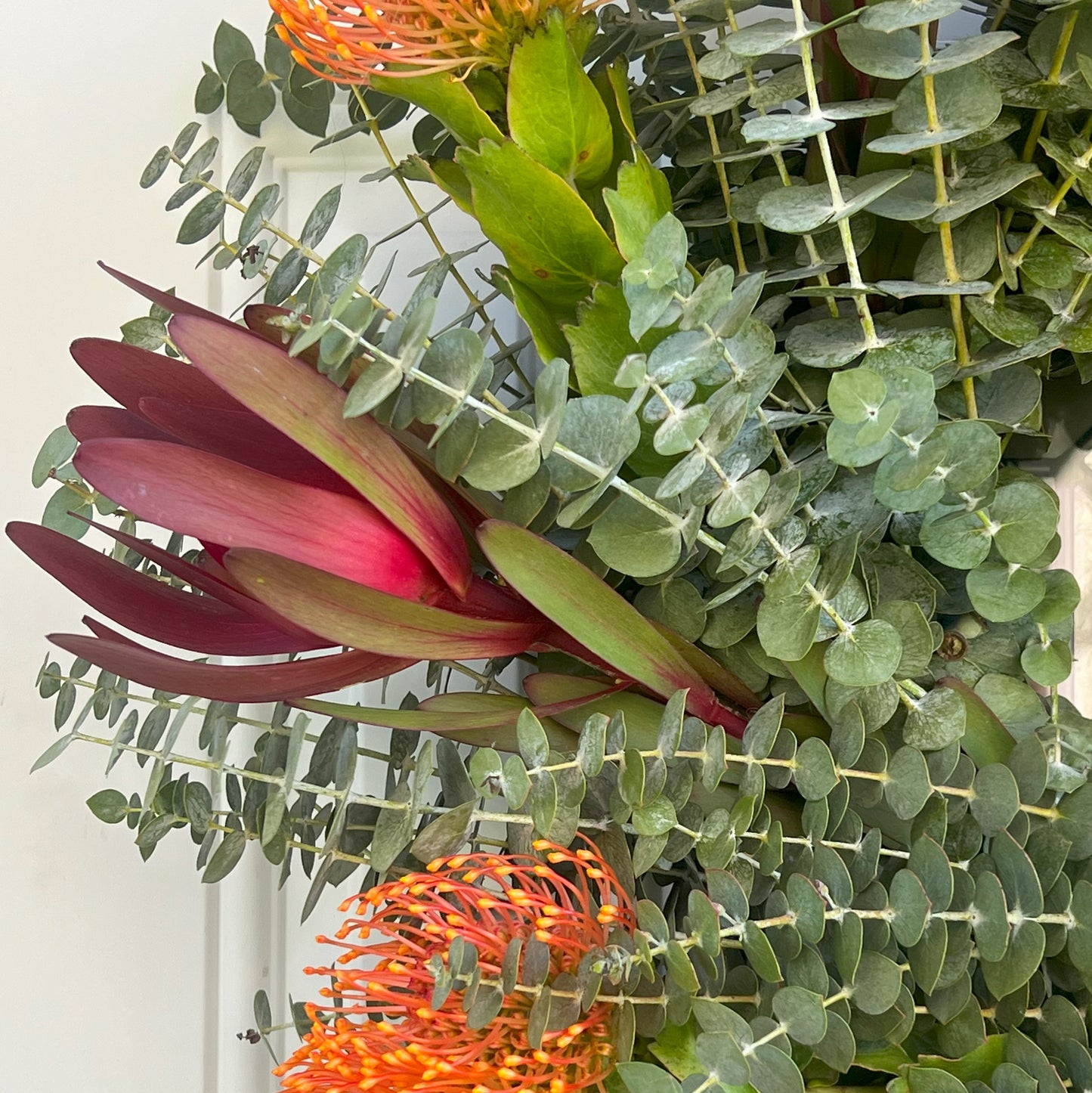 Safari Sunset Leucadendron, Spiral Baby Eucalyptus, and Pincushion Wreath