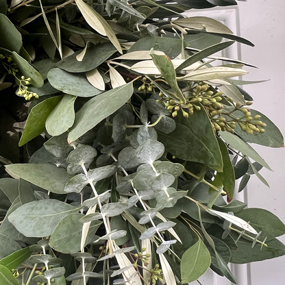 Fresh Seeded Eucalyptus Spiral Eucalyptus and Olive Wreath