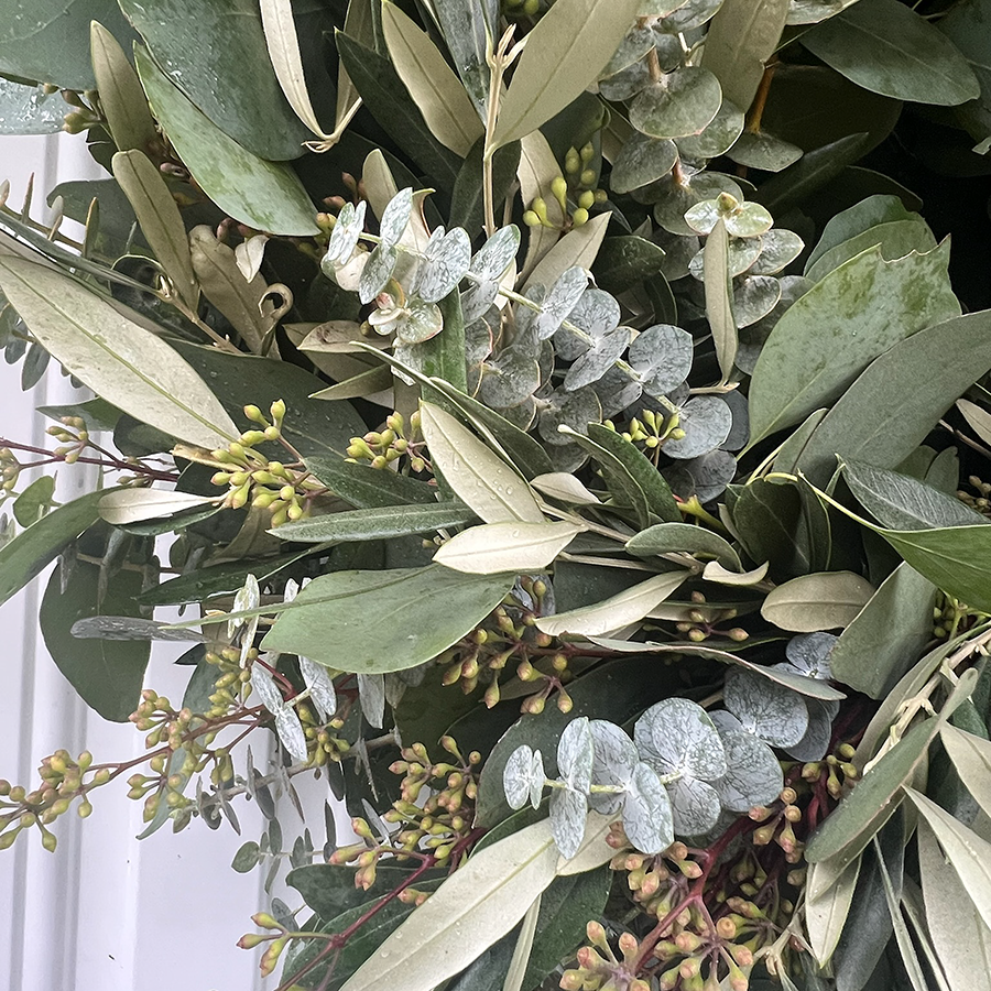 Fresh Seeded Eucalyptus Spiral Eucalyptus and Olive Wreath