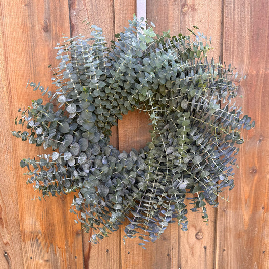 Fresh Spiral Eucalyptus Greenery Wreath