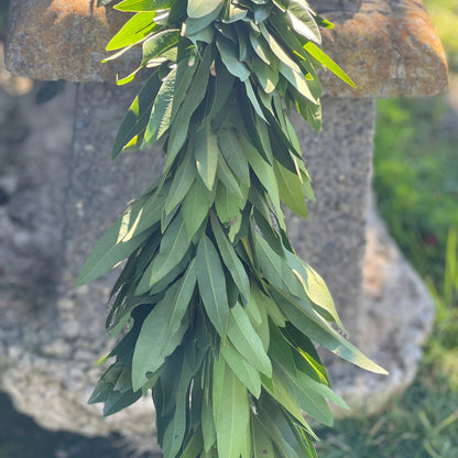 Fresh Bay Leaf Garland