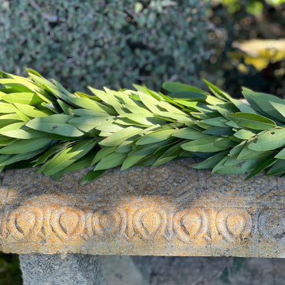 Fresh Bay Leaf Garland