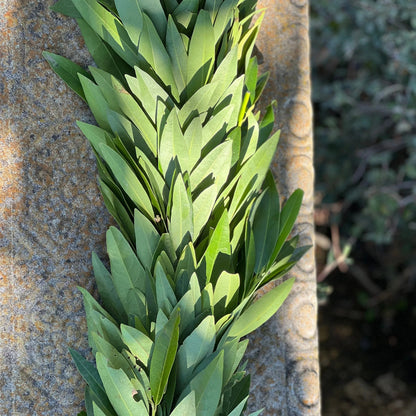 Fresh Bay Leaf Garland