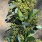 Fresh Seeded Eucalyptus and Bay Leaf Garland