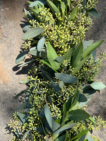 Fresh Seeded Eucalyptus and Bay Leaf Garland