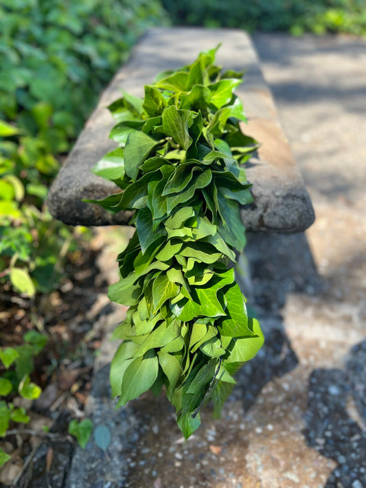 Fresh Bush Ivy Garland