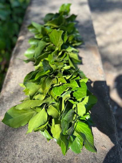 Fresh Bush Ivy Garland