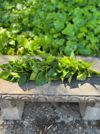 Fresh Bush Ivy Garland