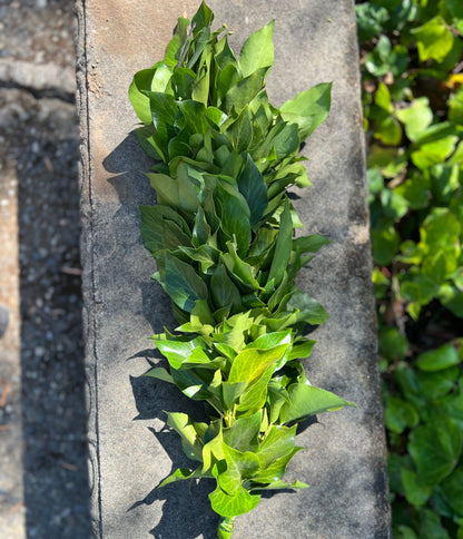 Fresh Bush Ivy Garland
