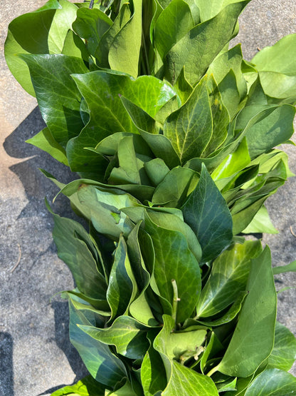 Fresh Bush Ivy Garland