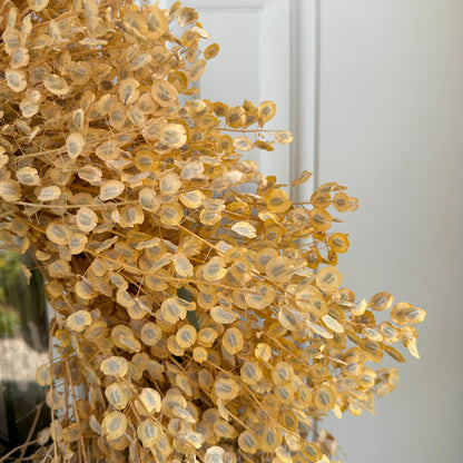 Dried Pennycress Wreath