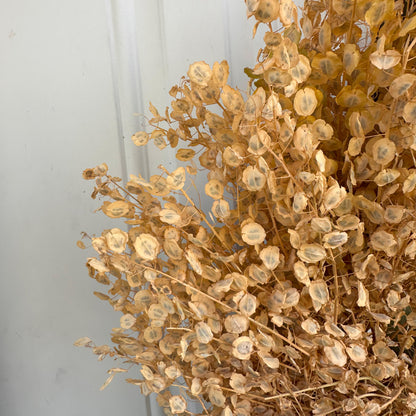 Dried Pennycress Wreath