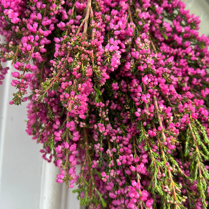 Lower Left Close Up Shot of a Hot Pink Erica Heather Heart Wreath Hung on A White Door