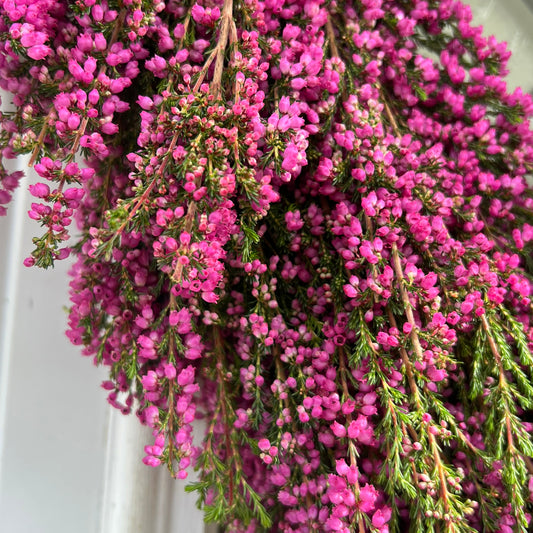 Lower Left Close Up Shot of a Hot Pink Erica Heather Heart Wreath Hung on A White Door