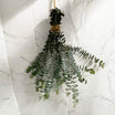Fresh Eucalyptus Shower Bundle