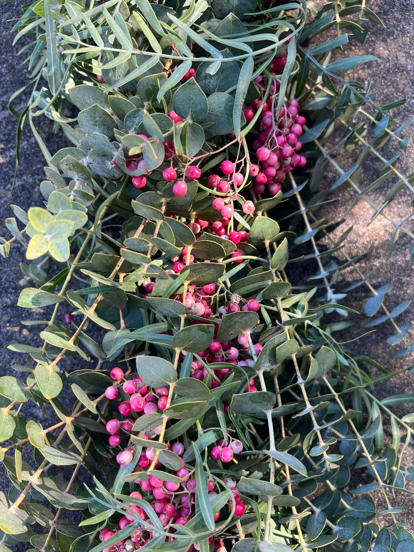 Fresh Spiral Eucalyptus and Pepperberry Garland