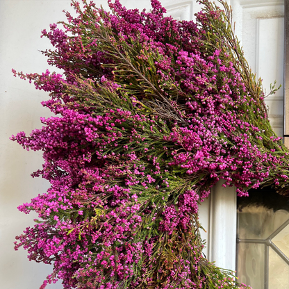 Boronia Heart Wreath