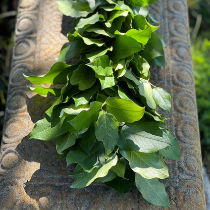 Fresh Lemon Leaf Garland