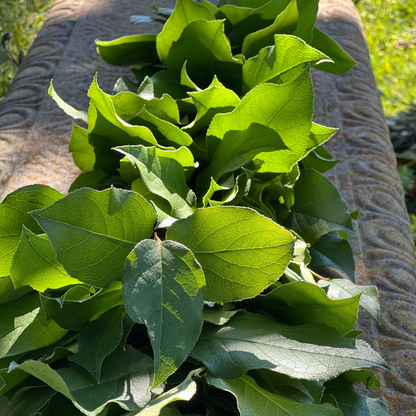 Fresh Lemon Leaf Garland