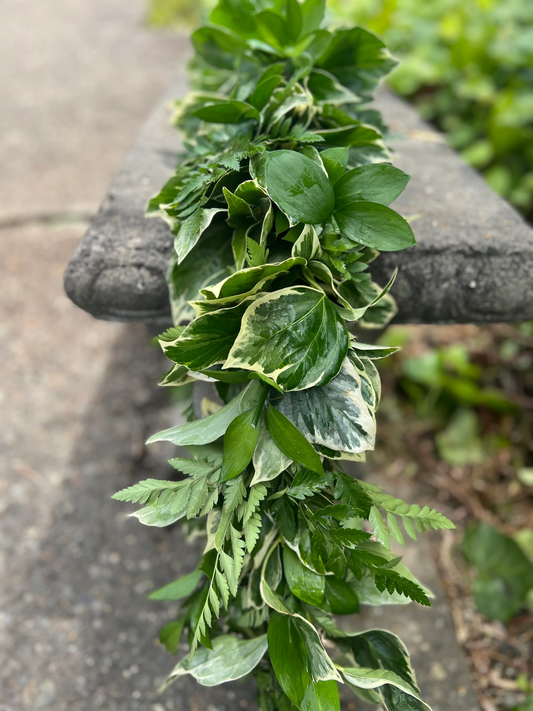 Fresh Leatherleaf Fern, Bush Ivy, and Ruscus Garland