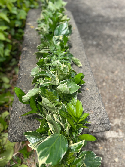 Fresh Leatherleaf Fern, Bush Ivy, and Ruscus Garland
