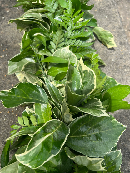 Fresh Leatherleaf Fern, Bush Ivy, and Ruscus Garland