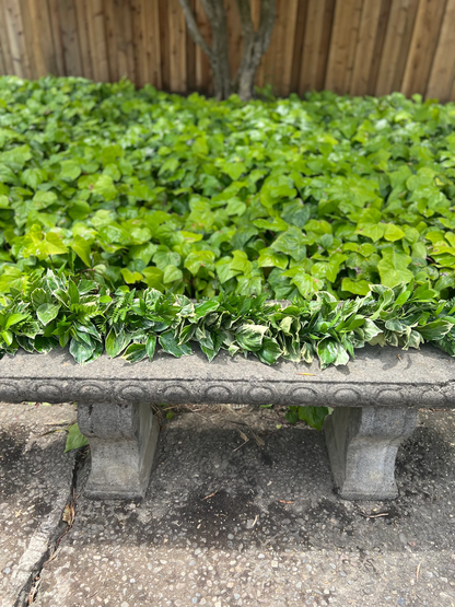 Fresh Leatherleaf Fern, Bush Ivy, and Ruscus Garland