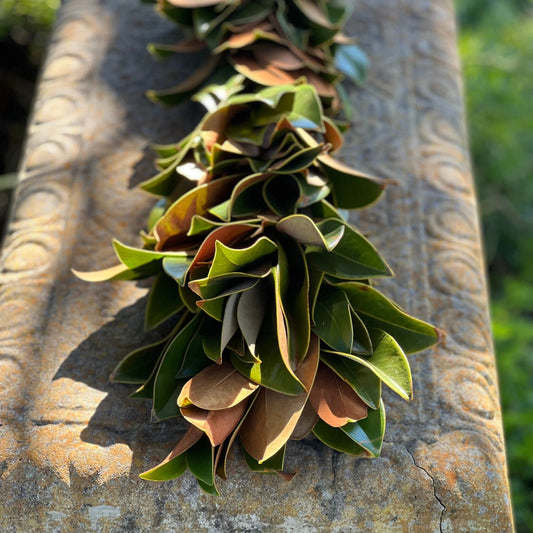 Fresh Magnolia Garland