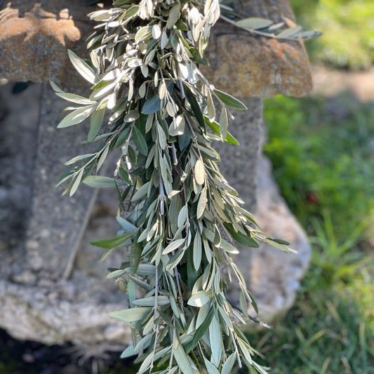 Fresh Olive Garland