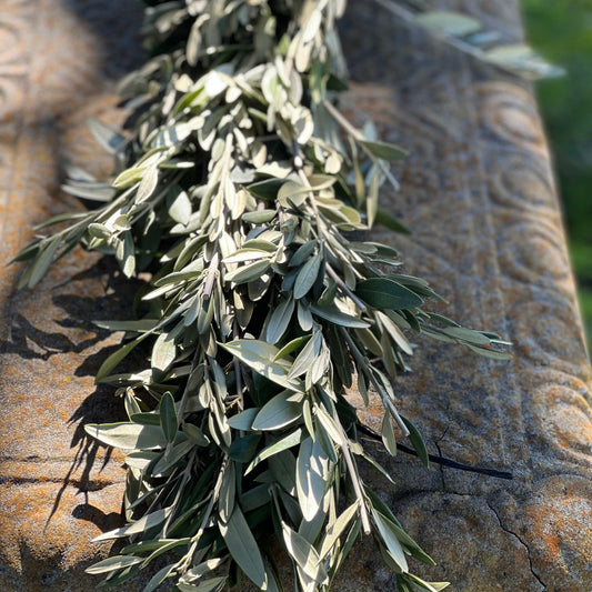 Fresh Olive Garland