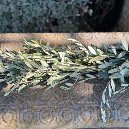 Fresh Olive Garland