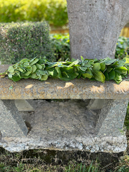 Fresh Variegated Pittosporum and Lemon Leaf Garland