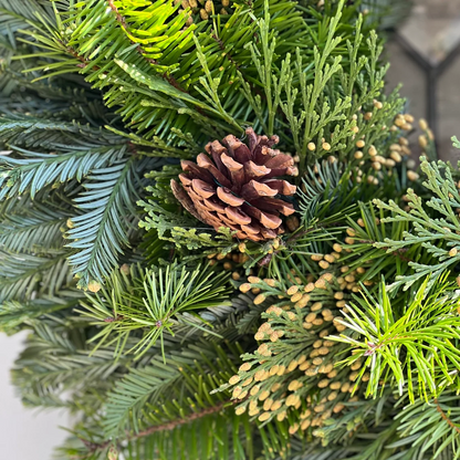 Fresh Cedar Fir, Redwood and Pinecone Wreath