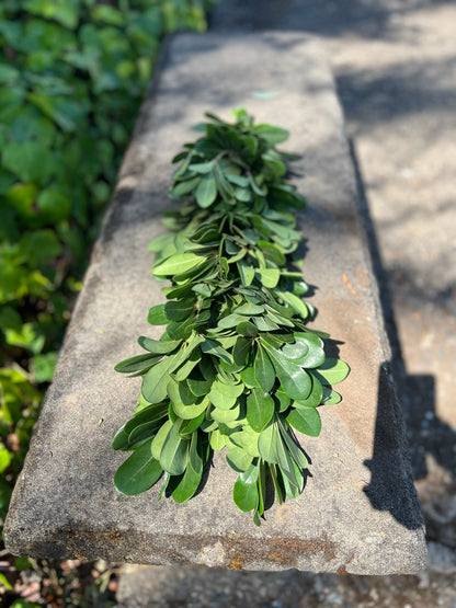 Fresh Pittosporum Garland