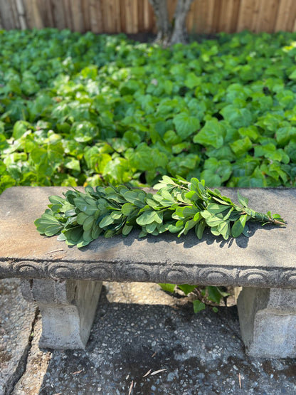 Fresh Pittosporum Garland