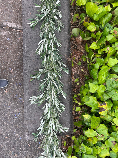 Fresh Olive and Rosemary Garland