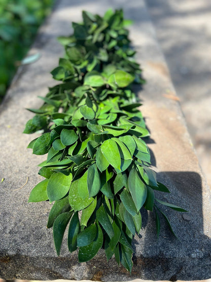 Fresh Ruscus Garland