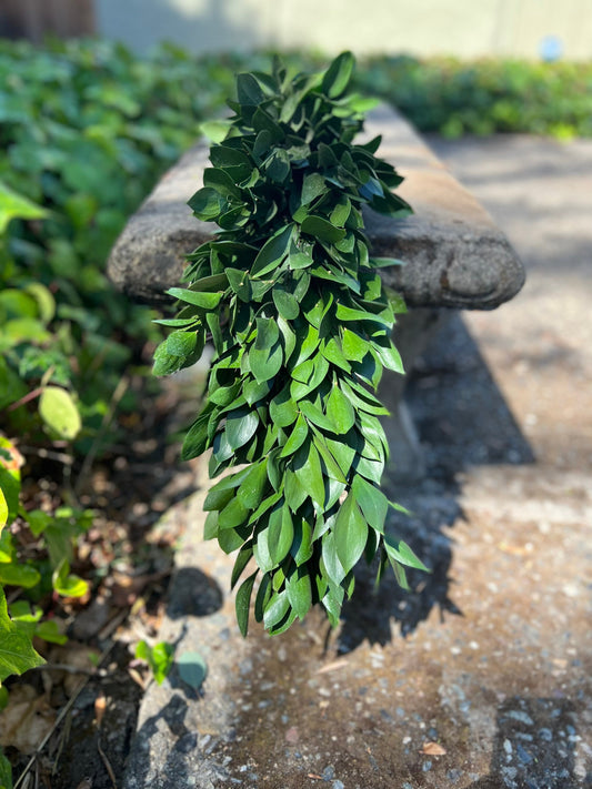 Fresh Ruscus Garland